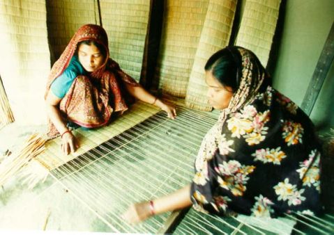 Grameen Micro Finance
