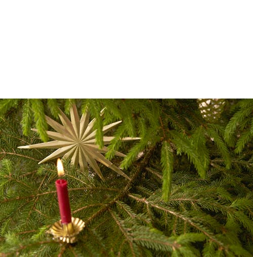 hessnatur-wasteless-xmas-weihnachtsbaum-kerze Echte Kerzen für den Weihnachtsbaum