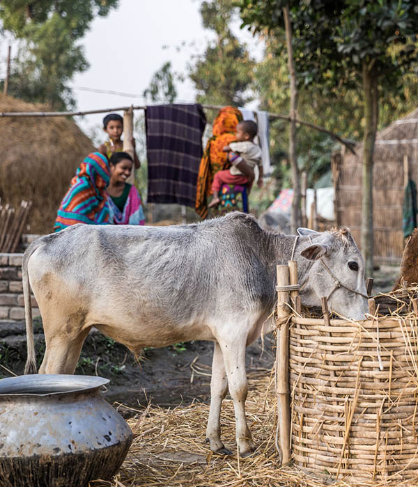 hessnatur Produktion der Selvedge Jeans in Bangladesch