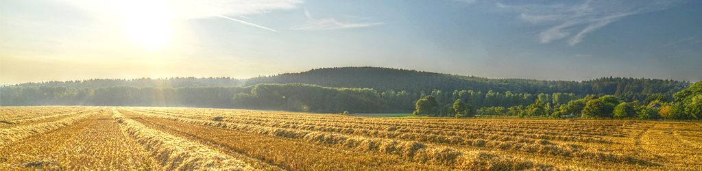 hessnatur-blog-magazin-herbst-1 hessnatur herbst