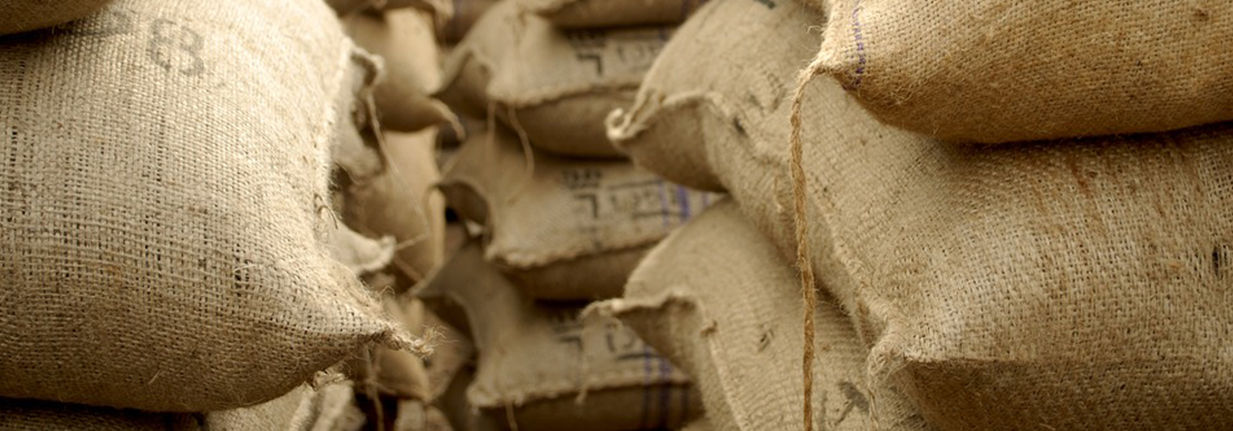 Jute Definition hessnatur Textillexikon