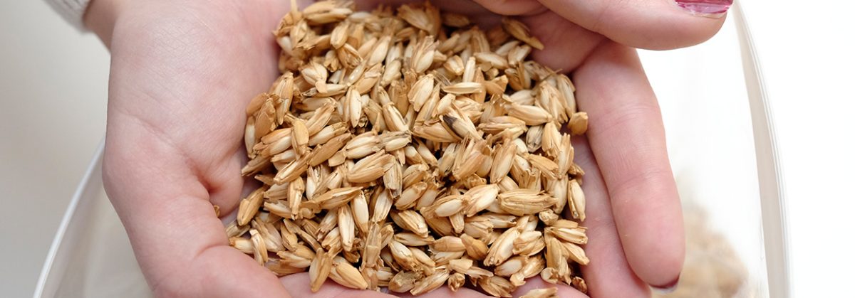 Dinkel Definition hessnatur Textillexikon