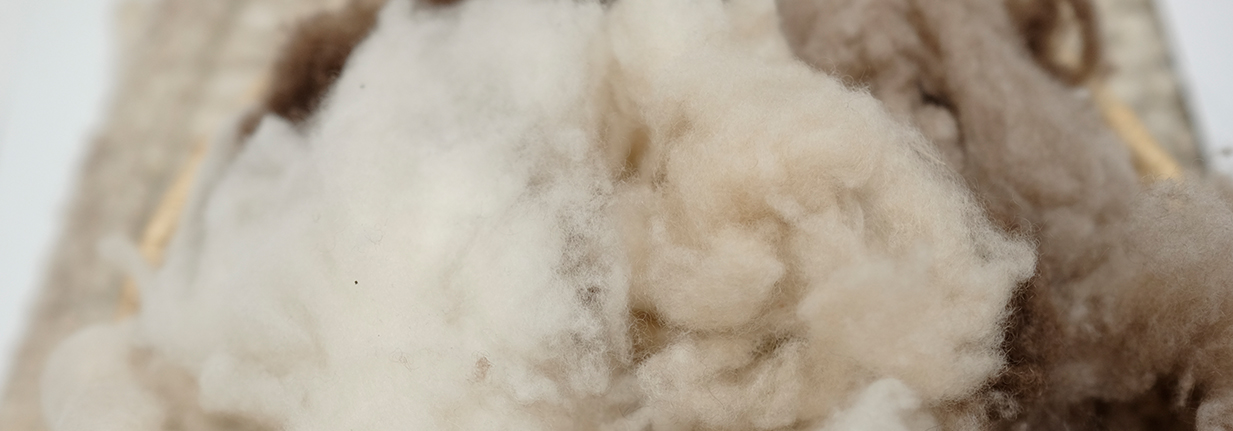 Haare Definition hessnatur Textillexikon