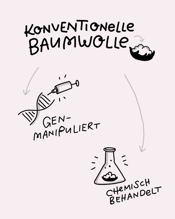 Was ist der Unterschied zwischen Baumwolle und BioBaumwolle? Nachgefragt