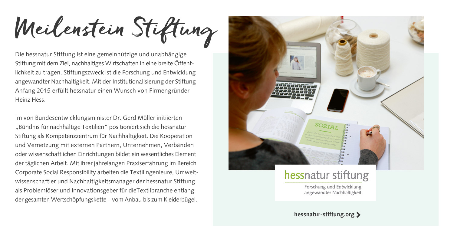 Meilenstein Stiftung